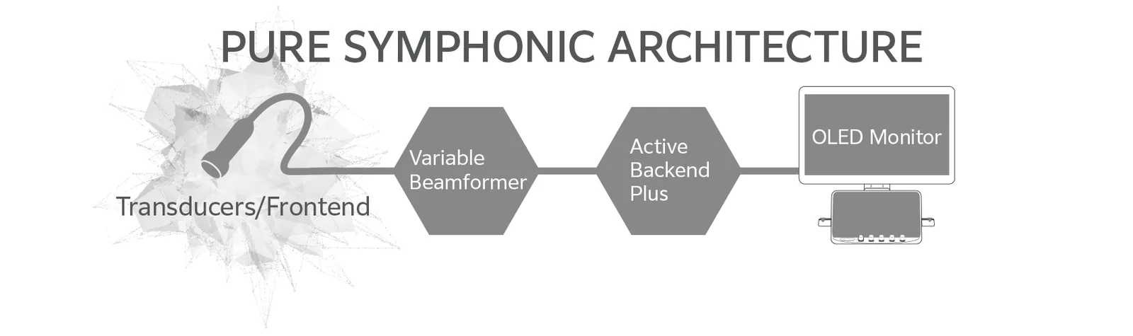 Fujifilm Lisendo 880LE — Pure Symphonic Architecture