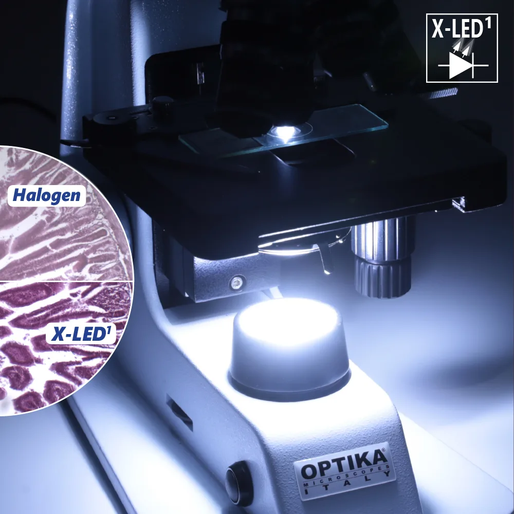 Optika B-150 — Осветитель X-LED 1 мощностью 1 Вт