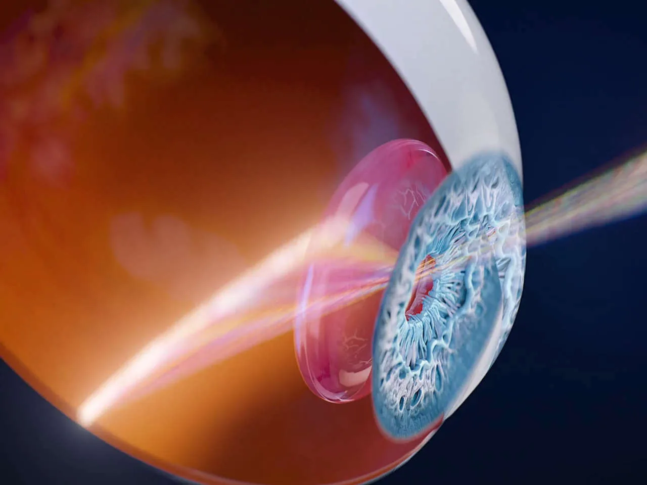 ZEISS CLARUS 700 — Истинный цвет вместо «псевдоцвета»