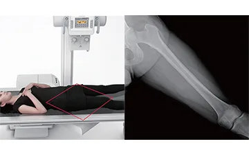 GEMSS TITAN 2000 E — Одна панель на стойку и на стол