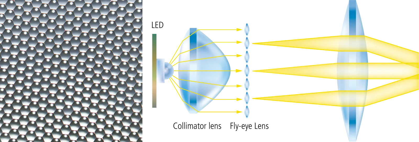 Nikon ECLIPSE Ei — Равномерная яркость до краёв поля