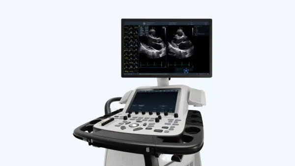 GE Vivid E95
